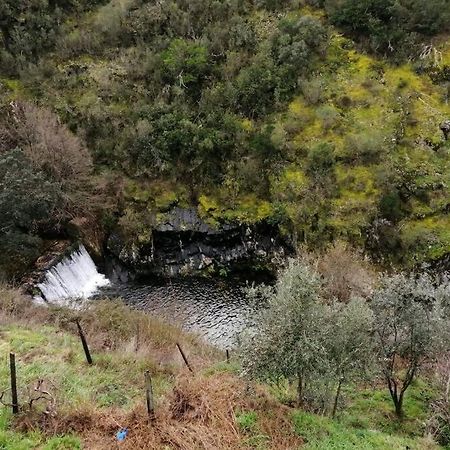 Casa Do Avo Alvaro - Refugio Do Rei Casal do Rei  Dış mekan fotoğraf