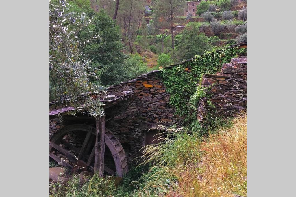 Casa Do Avo Alvaro - Refugio Do Rei Casal do Rei  Dış mekan fotoğraf