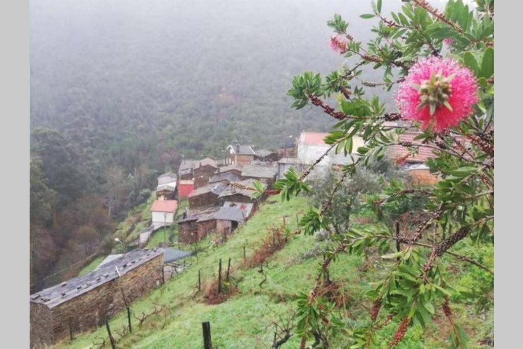 Casa Do Avo Alvaro - Refugio Do Rei Casal do Rei  Dış mekan fotoğraf