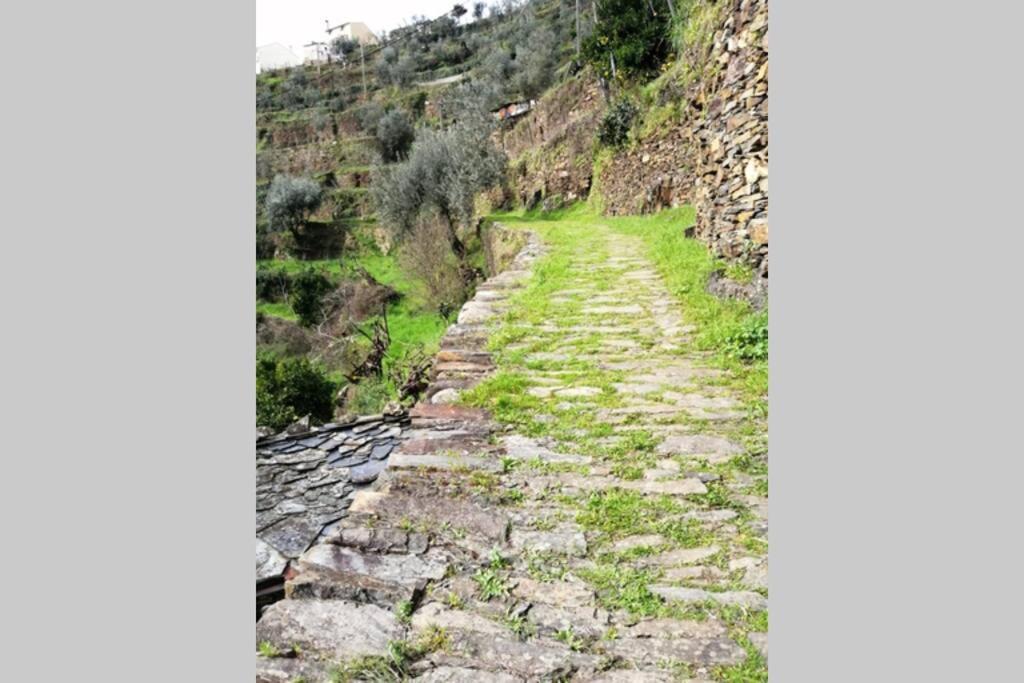 Casa Do Avo Alvaro - Refugio Do Rei Casal do Rei  Dış mekan fotoğraf