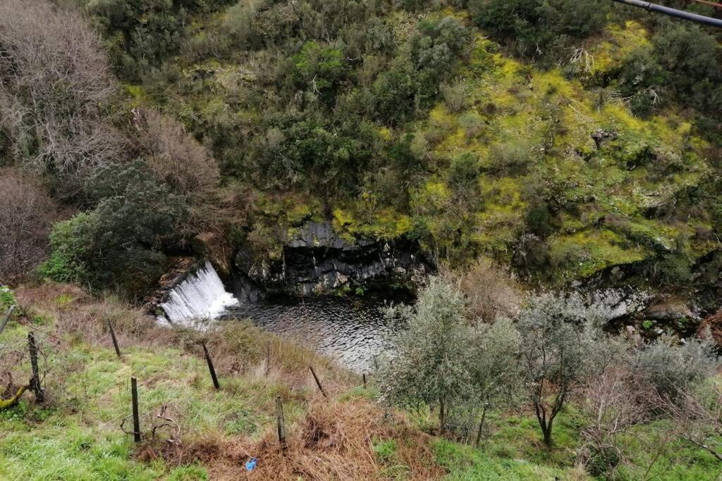 Casa Do Avo Alvaro - Refugio Do Rei Casal do Rei  Dış mekan fotoğraf